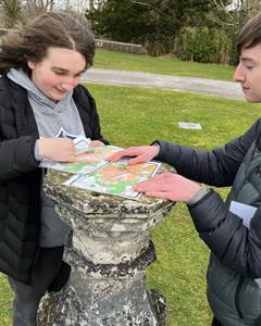 TY Orienteering